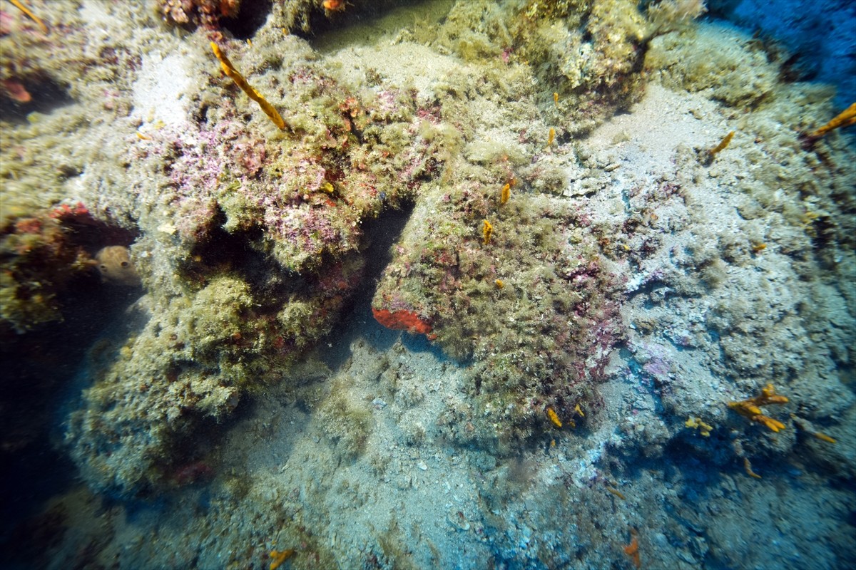  Dünyanın bilinen en eski batığı olarak nitelenen Kumluca Orta Tunç Çağı Batığı'nda arkeologların...