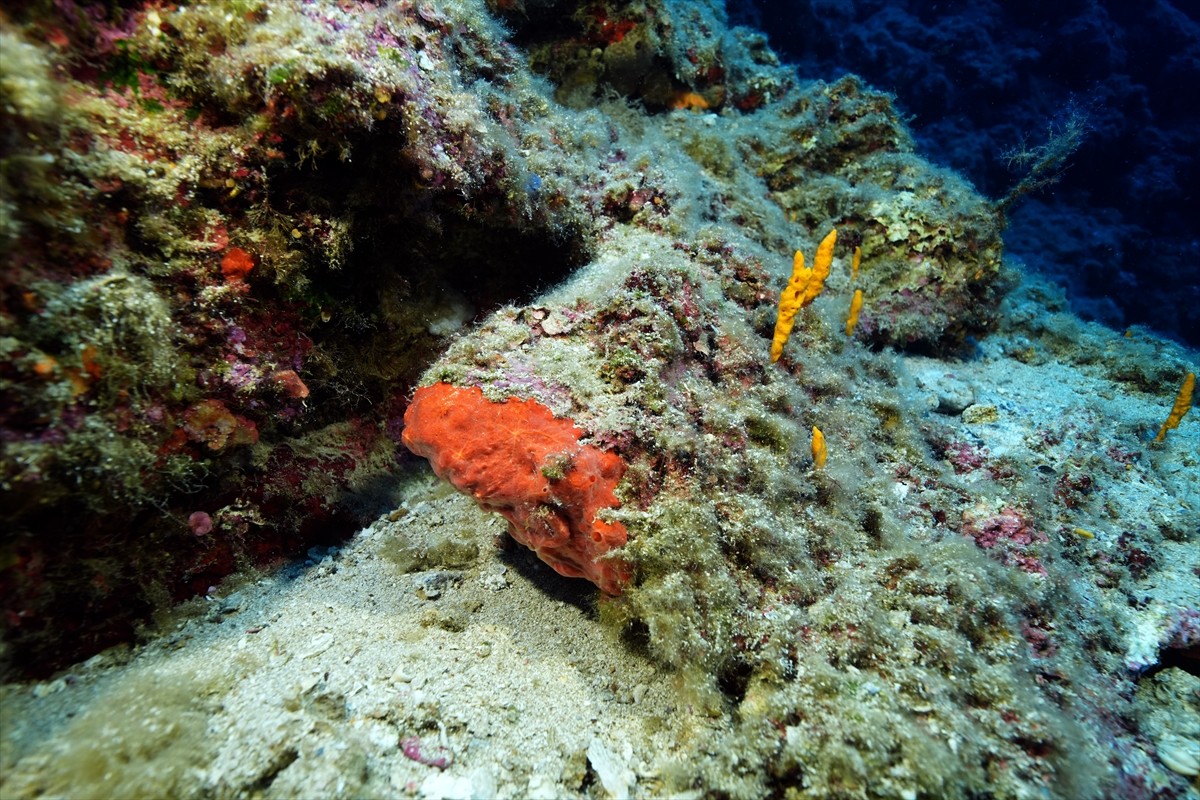  Dünyanın bilinen en eski batığı olarak nitelenen Kumluca Orta Tunç Çağı Batığı'nda arkeologların...