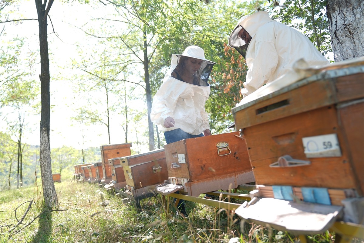 Düzce Üniversitesi Arıcılık Araştırma Geliştirme ve Uygulama Merkezi (DAGEM) Müdürlüğün'den...