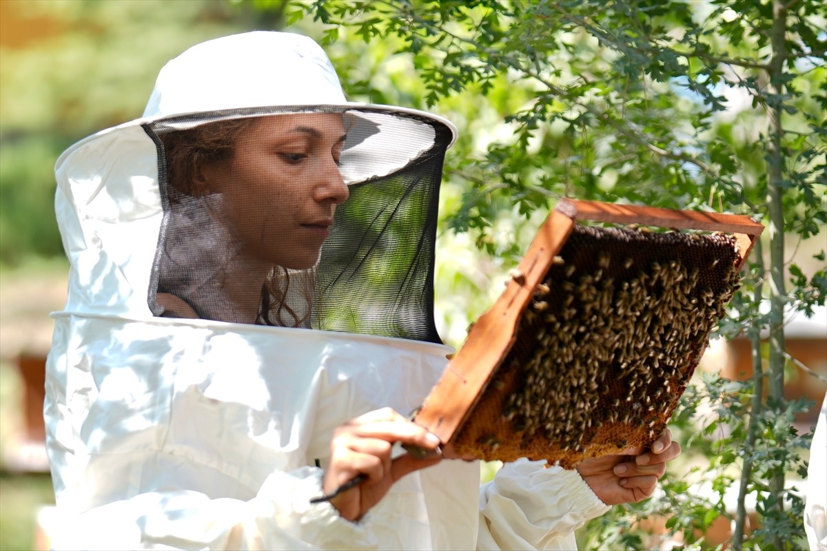 Düzce Üniversitesi Arıcılık Araştırma Geliştirme ve Uygulama Merkezi (DAGEM) Müdürlüğün'den...