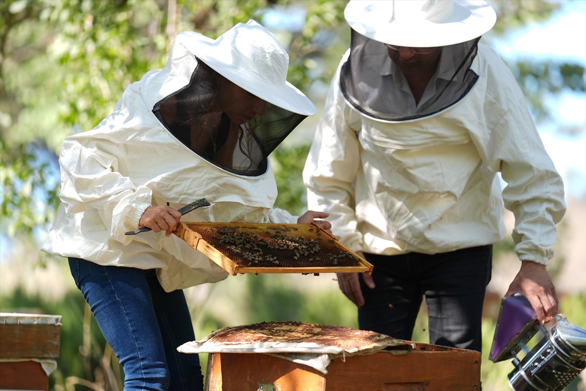 Düzce Üniversitesi Arıcılık Araştırma Geliştirme ve Uygulama Merkezi (DAGEM) Müdürlüğün'den...
