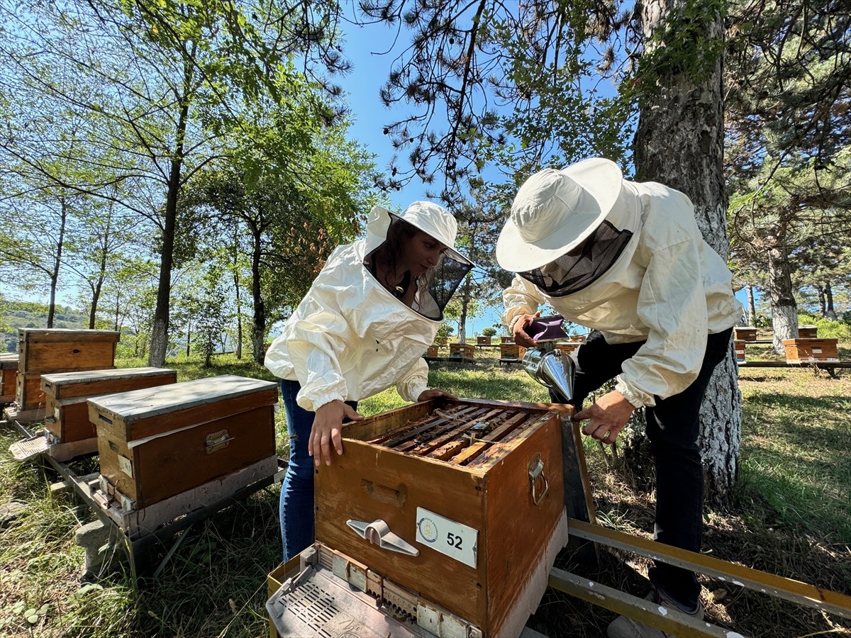 Düzce Üniversitesi Arıcılık Araştırma Geliştirme ve Uygulama Merkezi (DAGEM) Müdürlüğün'den...