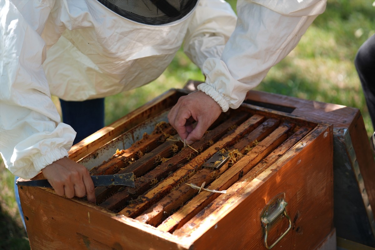 Düzce Üniversitesi Arıcılık Araştırma Geliştirme ve Uygulama Merkezi (DAGEM) Müdürlüğün'den...
