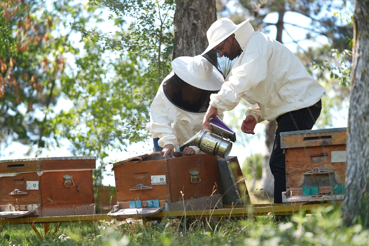 Düzce Üniversitesi Arıcılık Araştırma Geliştirme ve Uygulama Merkezi (DAGEM) Müdürlüğün'den...