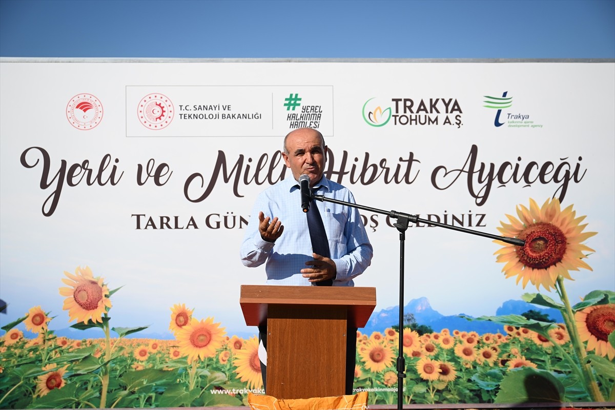 Edirne'de, Trakya Tohum AŞ tarafından geliştirilen 4 yerli hibrit ayçiçeği tohumundan biri olan...