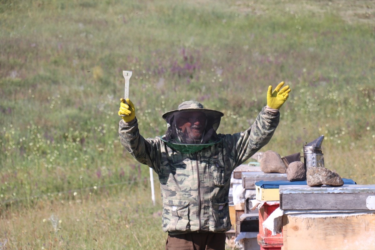 Erzurum'da, kovanlarının bulunduğu Güzelova Yaylası'nda, kovanlarının bulunduğu bölgedeki evinde...