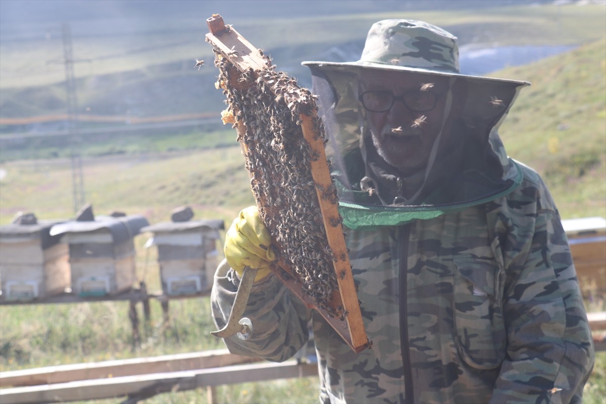 Erzurum'da, kovanlarının bulunduğu Güzelova Yaylası'nda, kovanlarının bulunduğu bölgedeki evinde...