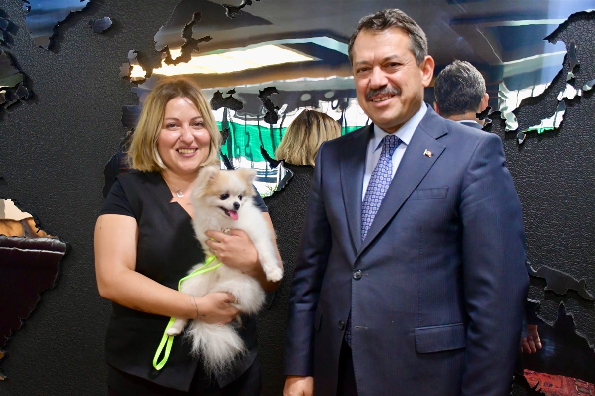 Eskişehir'in Tepebaşı ilçesinde sahibinin kötü muamelesine maruz kalan köpek, yeniden...