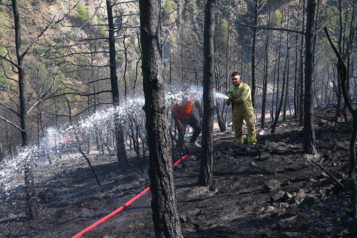 Hatay'ın merkez Antakya ilçesinde ormanlık alanda çıkan yangın kontrol altına alındı.