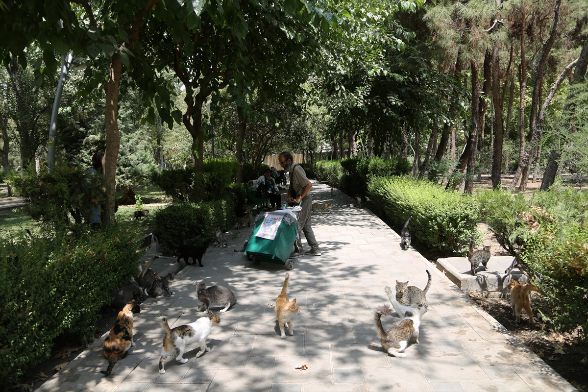 İran’ın başkenti Tahran’ın merkezinde yer alan kentin en eski ve en büyük parklarından Lale Parkı...