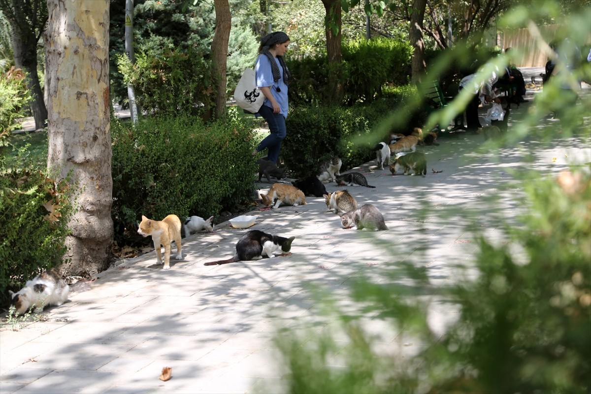 İran’ın başkenti Tahran’ın merkezinde yer alan kentin en eski ve en büyük parklarından Lale Parkı...
