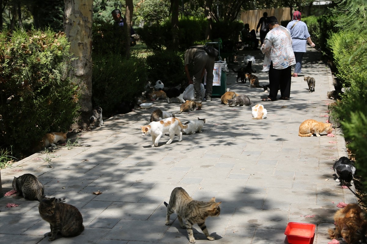 İran’ın başkenti Tahran’ın merkezinde yer alan kentin en eski ve en büyük parklarından Lale Parkı...