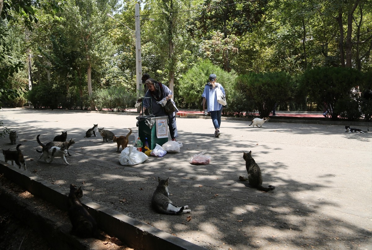 İran’ın başkenti Tahran’ın merkezinde yer alan kentin en eski ve en büyük parklarından Lale Parkı...