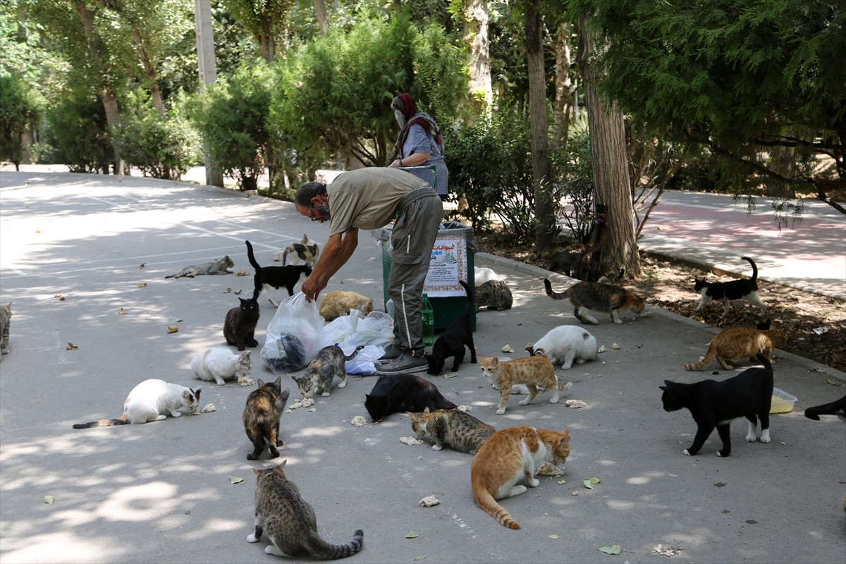 İran’ın başkenti Tahran’ın merkezinde yer alan kentin en eski ve en büyük parklarından Lale Parkı...