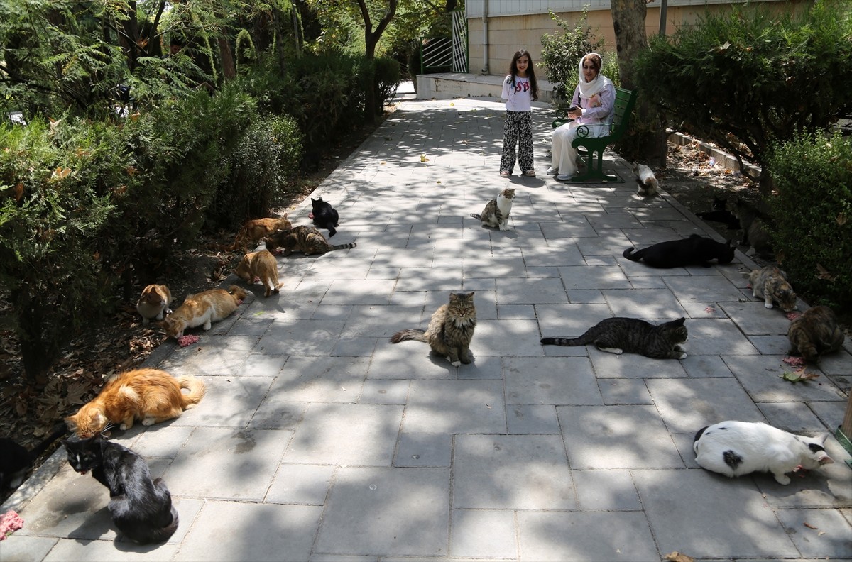 İran’ın başkenti Tahran’ın merkezinde yer alan kentin en eski ve en büyük parklarından Lale Parkı...