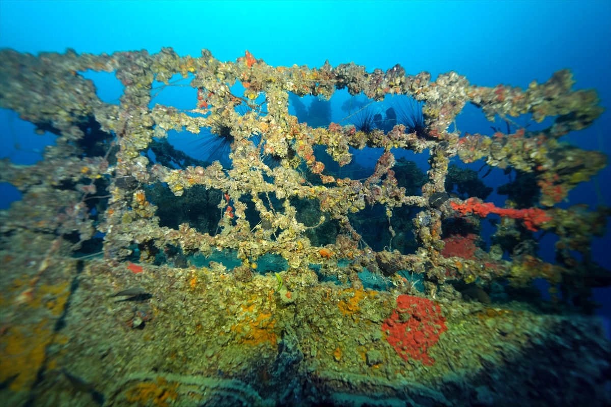 İskenderun Körfezi açıklarında, 2004 yılında taşıdığı yükle batan M/V Ulla Gemisi, su altı...
