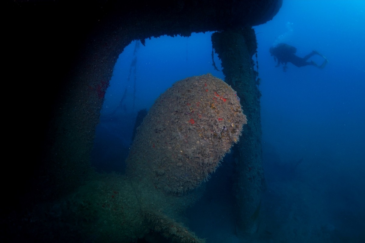 İskenderun Körfezi açıklarında, 2004 yılında taşıdığı yükle batan M/V Ulla Gemisi, su altı...