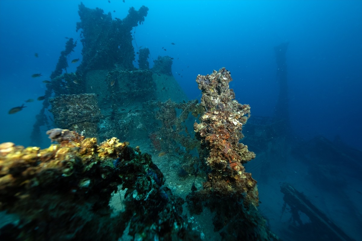 İskenderun Körfezi açıklarında, 2004 yılında taşıdığı yükle batan M/V Ulla Gemisi, su altı...