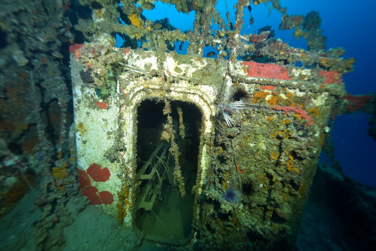 İskenderun Körfezi açıklarında, 2004 yılında taşıdığı yükle batan M/V Ulla Gemisi, su altı...