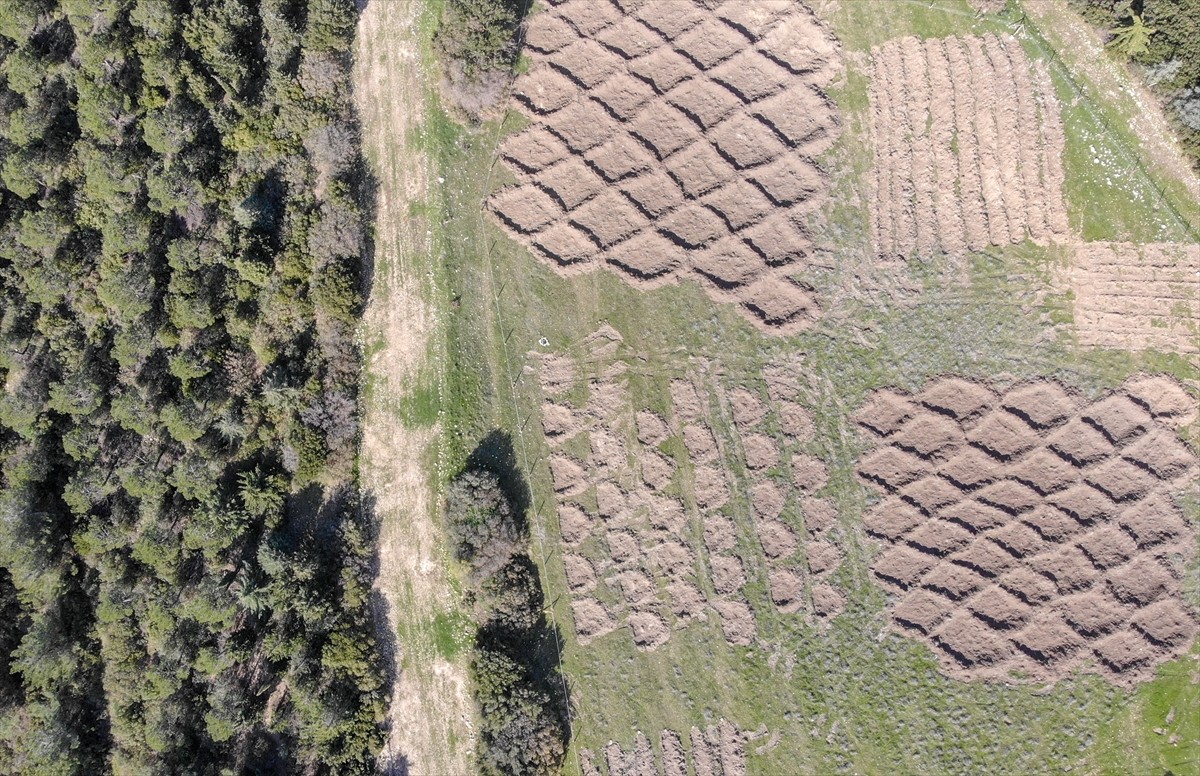 İzmir'de kuraklığın etkilerini azaltmak amacıyla araziye açılan hilal ve baklava şeklindeki...