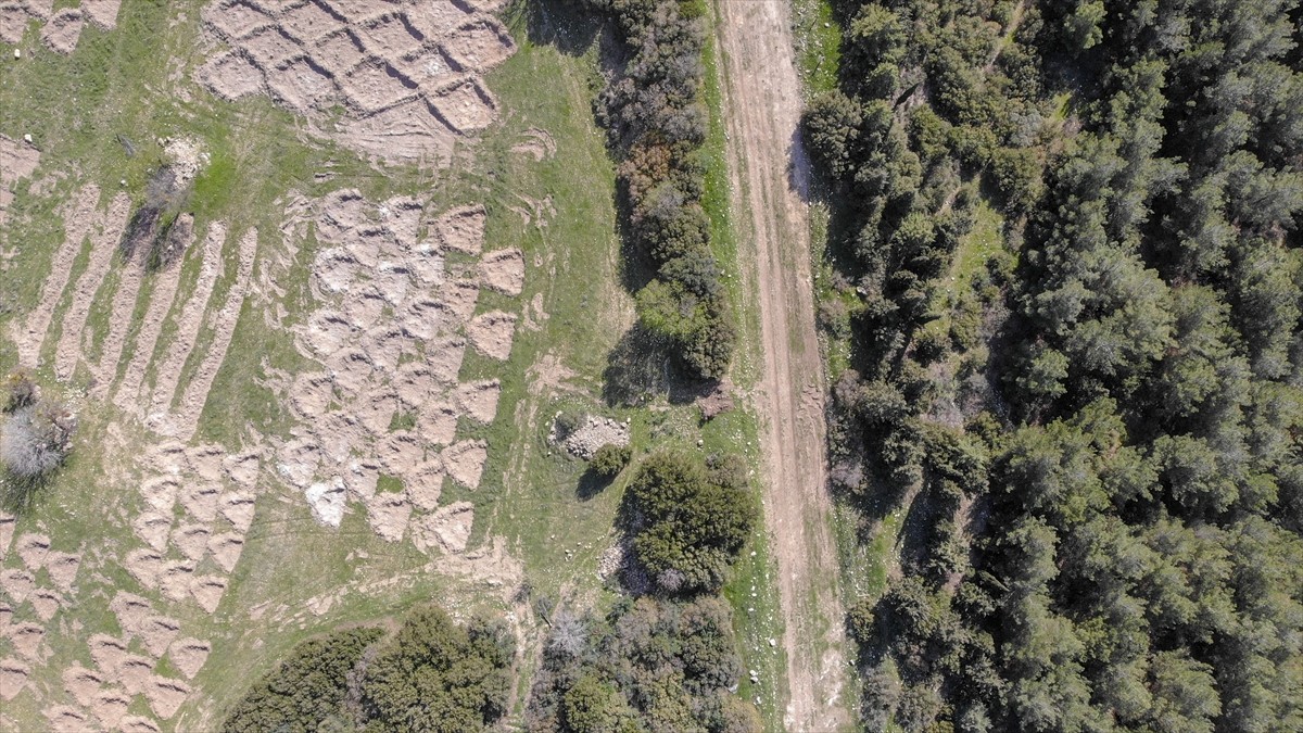 İzmir'de kuraklığın etkilerini azaltmak amacıyla araziye açılan hilal ve baklava şeklindeki...