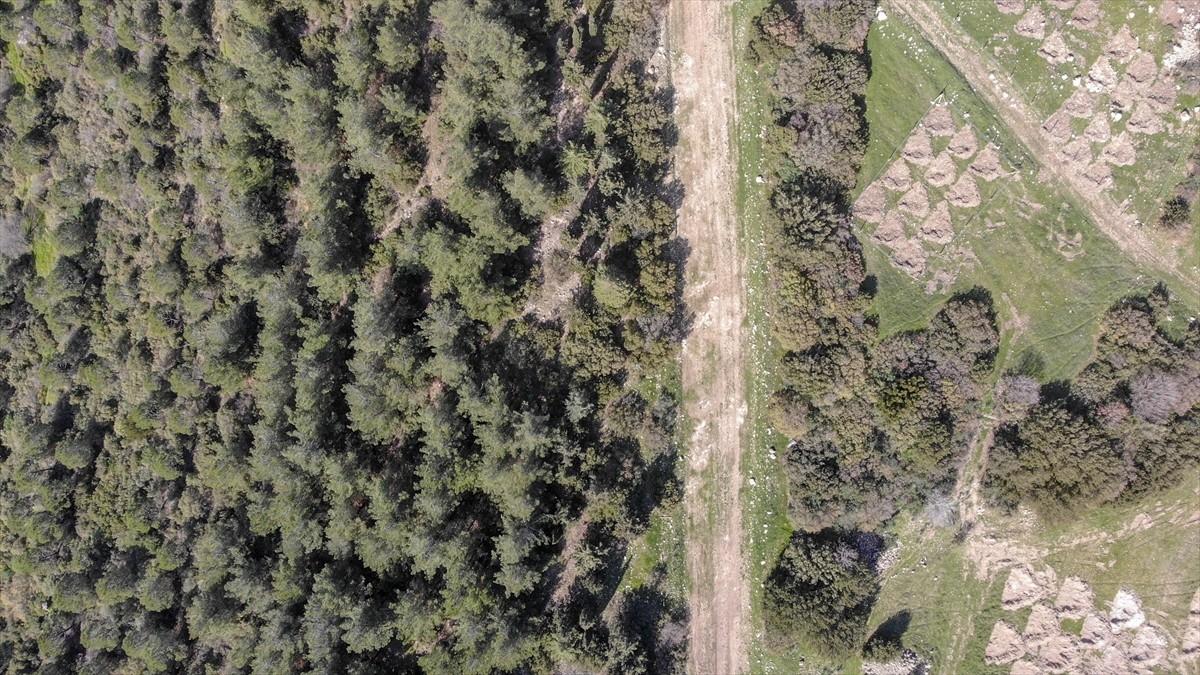 İzmir'de kuraklığın etkilerini azaltmak amacıyla araziye açılan hilal ve baklava şeklindeki...