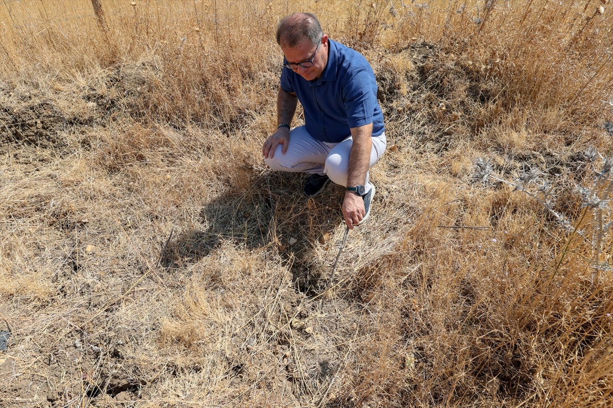 İzmir'de kuraklığın etkilerini azaltmak amacıyla araziye açılan hilal ve baklava şeklindeki...