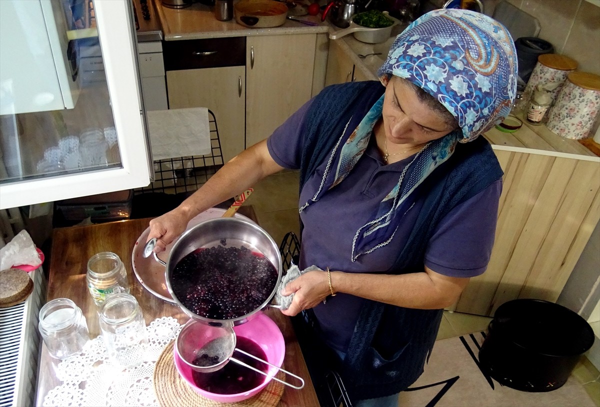 Kars'ın Sarıkamış ilçesinde vatandaşlar, kışlık reçel yapmak için 2 bin 500 rakımda, sarıçam...