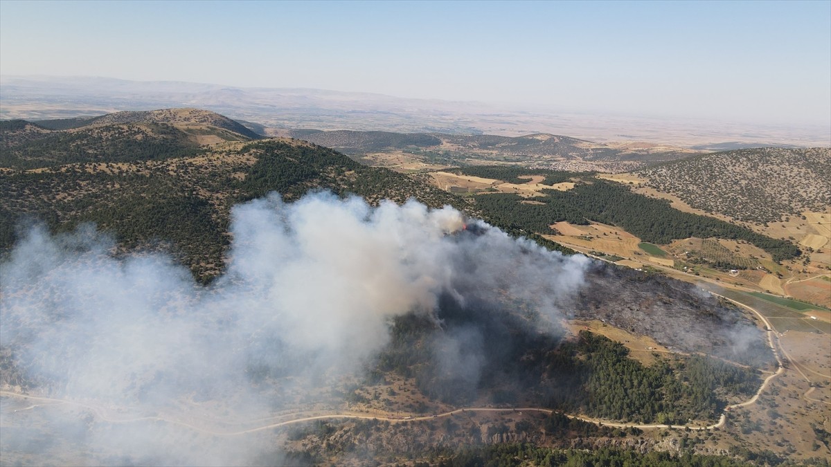Konya'nın Ilgın ilçesindeki ormanlık alanda çıkan yangına itfaiye ekipleri müdahale ediyor.