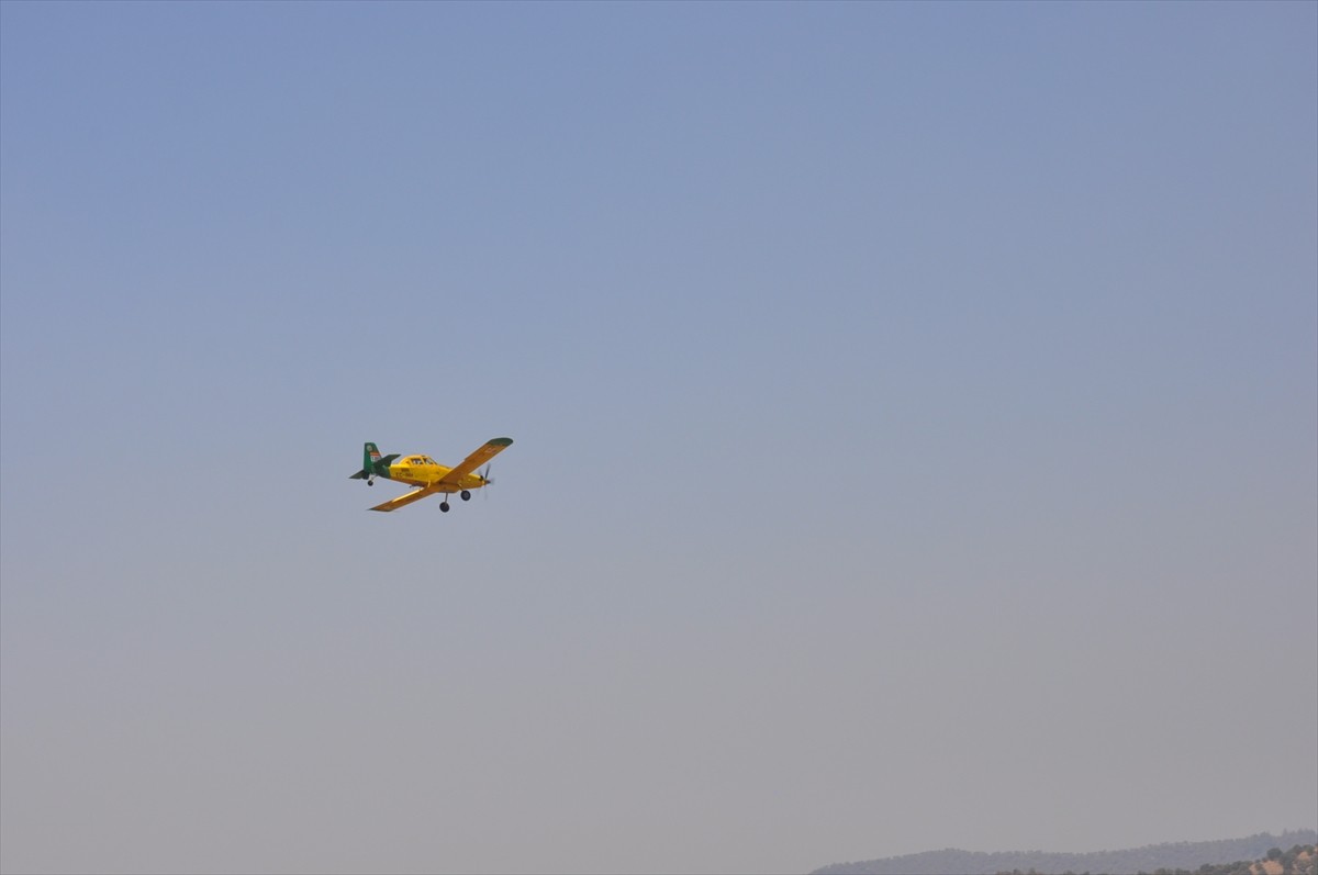 Manisa'nın Gördes ilçesinde 14 Ağustos'ta başlayan, Salihli ve Gölmarmara ilçelerine ulaşan orman...