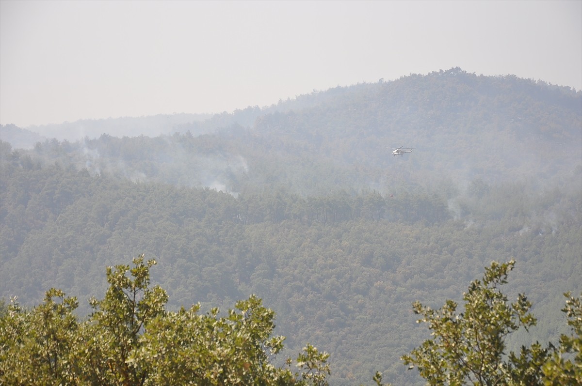 Manisa'nın Gördes ilçesinde 14 Ağustos'ta başlayan, Salihli ve Gölmarmara ilçelerine ulaşan orman...