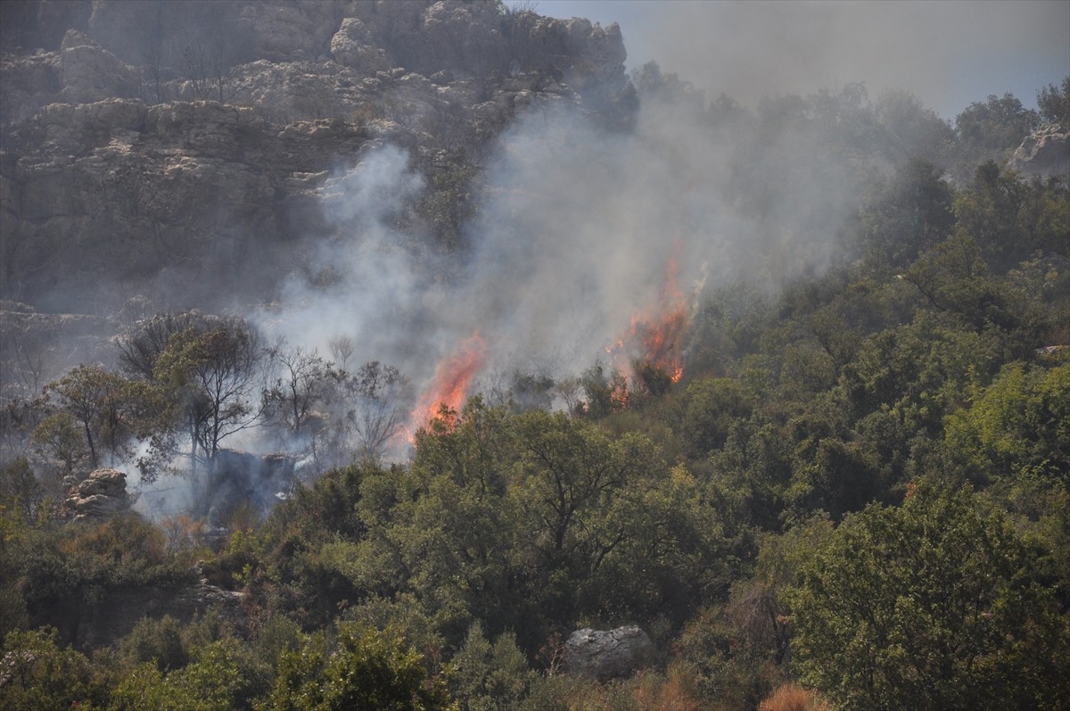 Mersin'in Silifke ilçesindeki ormanlık alanda çıkan yangın, ekiplerin müdahalesiyle kontrol altına...