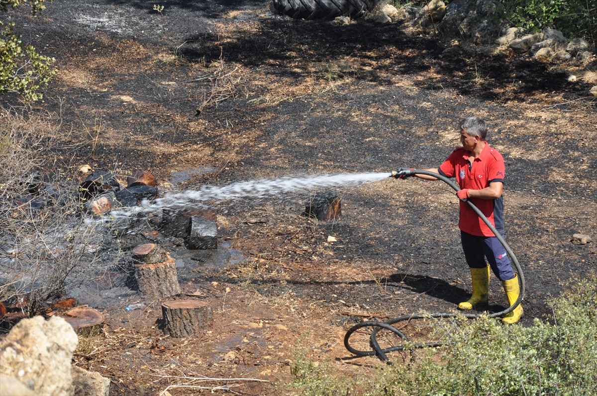 Mersin'in Silifke ilçesindeki ormanlık alanda çıkan yangın, ekiplerin müdahalesiyle kontrol altına...