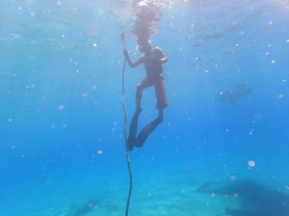 Muğla'nın Bodrum ilçesinde gönüllü dalgıçlar deniz dibi temizliğinin bu sezonki çalışmasını...