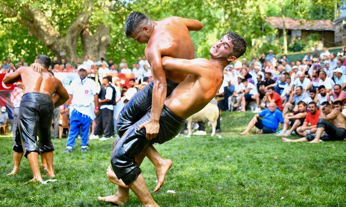 Muğla'nın Kavaklıdere ilçesinde 30'uncusu düzenlenen Menteşe Beşpınar Yağlı Güreşleri'nde farklı...