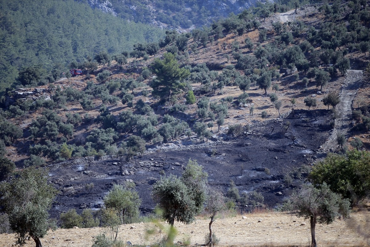 Muğla'nın Milas ilçesinde çıkan orman yangını kara ve hava ekiplerinin müdahalesiyle kontrol...