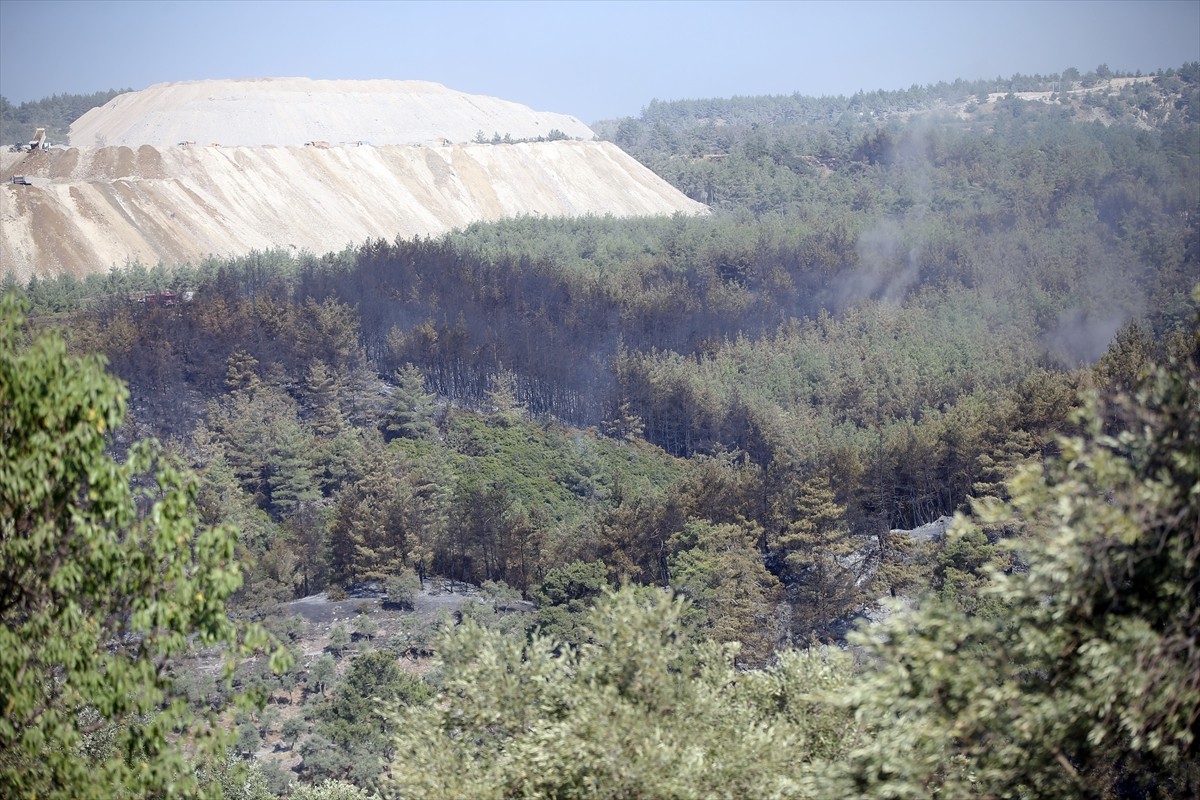 Muğla'nın Milas ilçesinde çıkan orman yangını kara ve hava ekiplerinin müdahalesiyle kontrol...