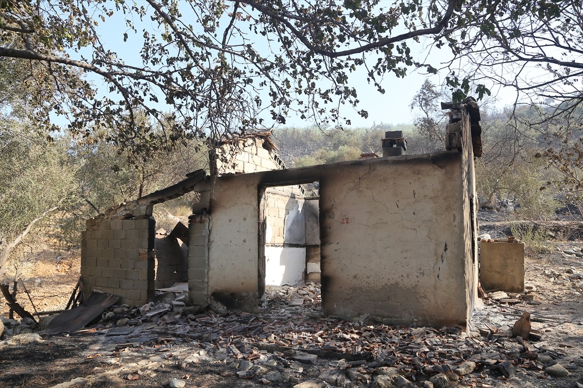 Muğla'nın Milas ilçesinde çıkan orman yangını kara ve hava ekiplerinin müdahalesiyle kontrol...
