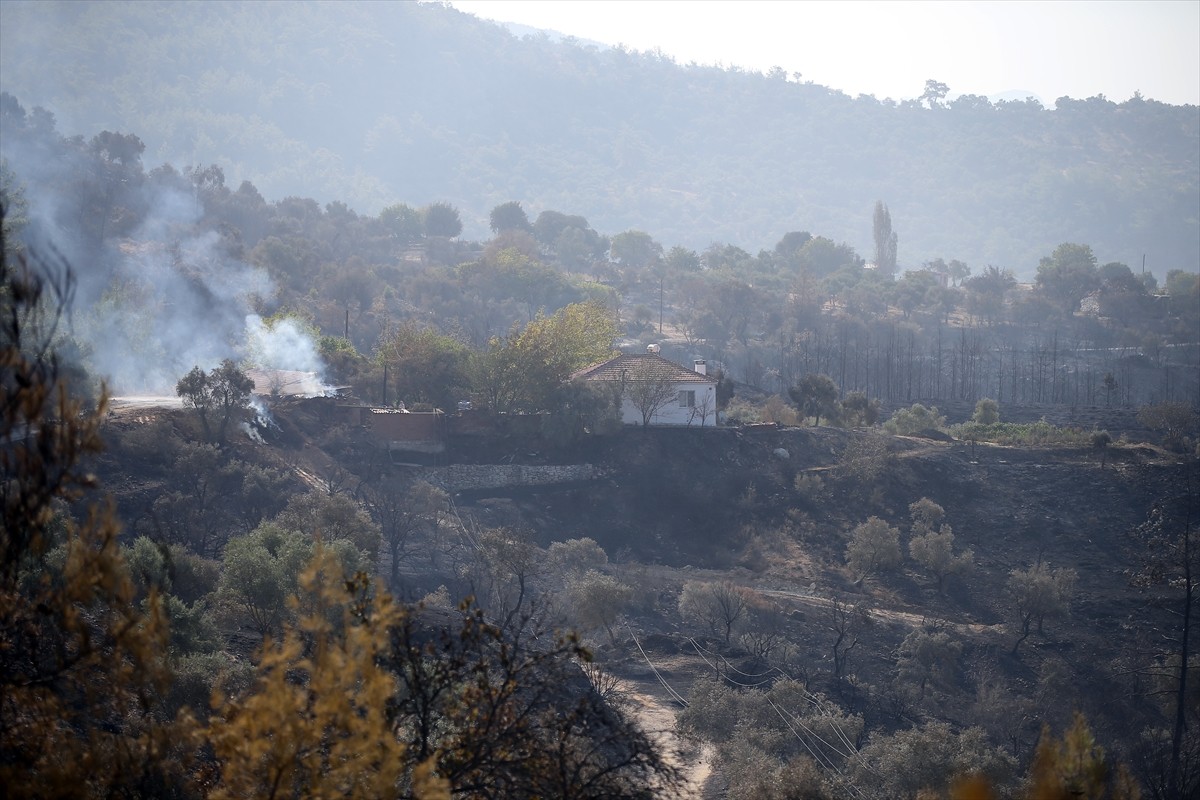 Muğla'nın Milas ilçesinde çıkan orman yangını kara ve hava ekiplerinin müdahalesiyle kontrol...