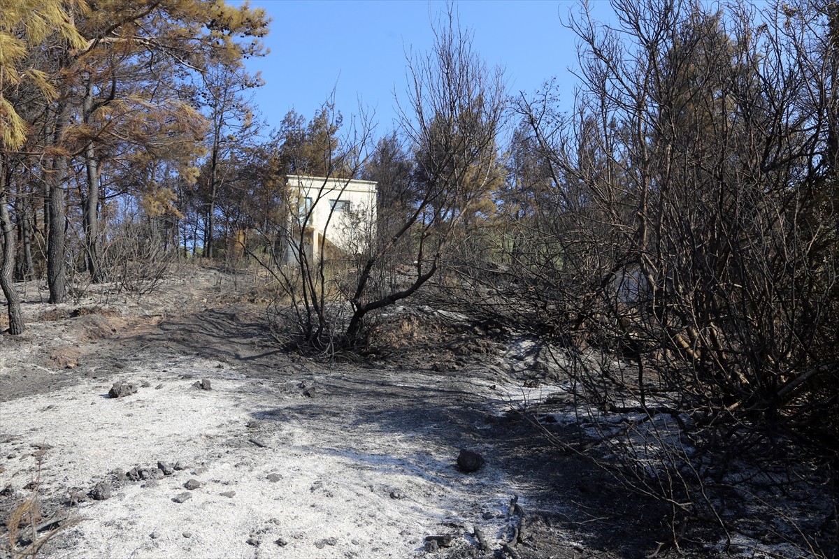 Muğla'nın Milas ilçesinde çıkan orman yangını kara ve hava ekiplerinin müdahalesiyle kontrol...