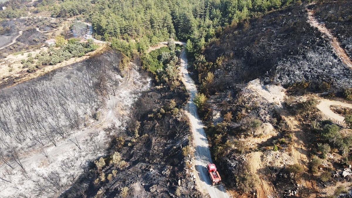 Muğla'nın Milas ilçesinde çıkan orman yangını kısmen kontrol altına alındı. Yangında yaklaşık 60...