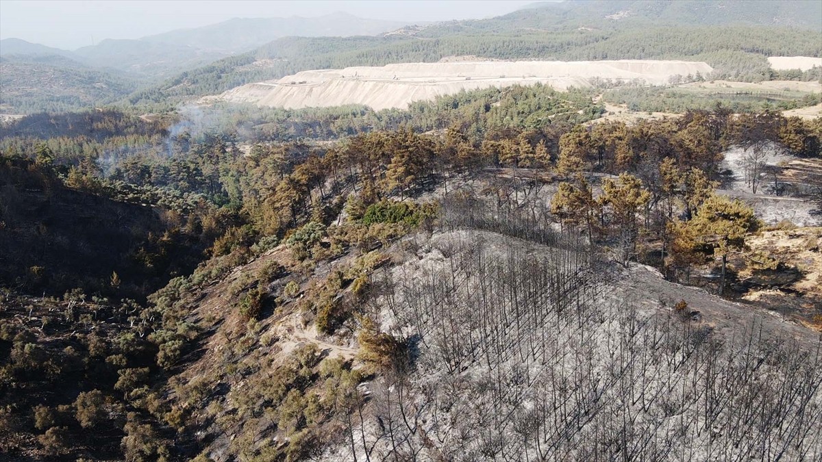 Muğla'nın Milas ilçesinde çıkan orman yangını kısmen kontrol altına alındı. Yangında yaklaşık 60...
