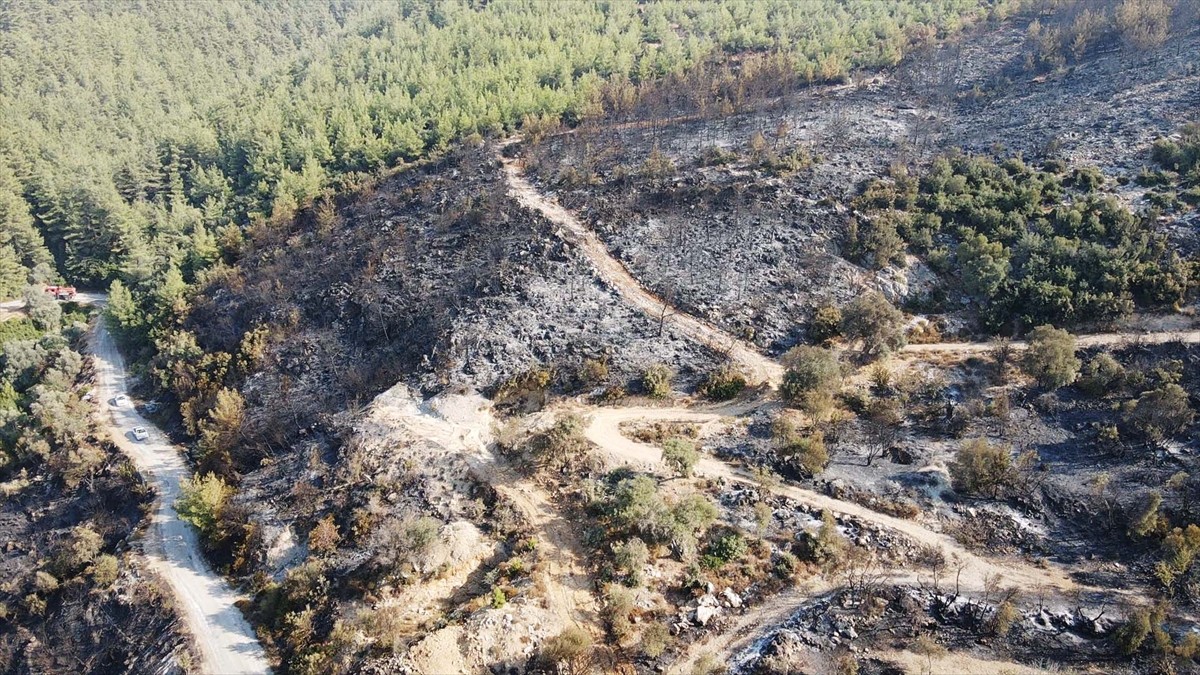 Muğla'nın Milas ilçesinde çıkan orman yangını kısmen kontrol altına alındı. Yangında yaklaşık 60...