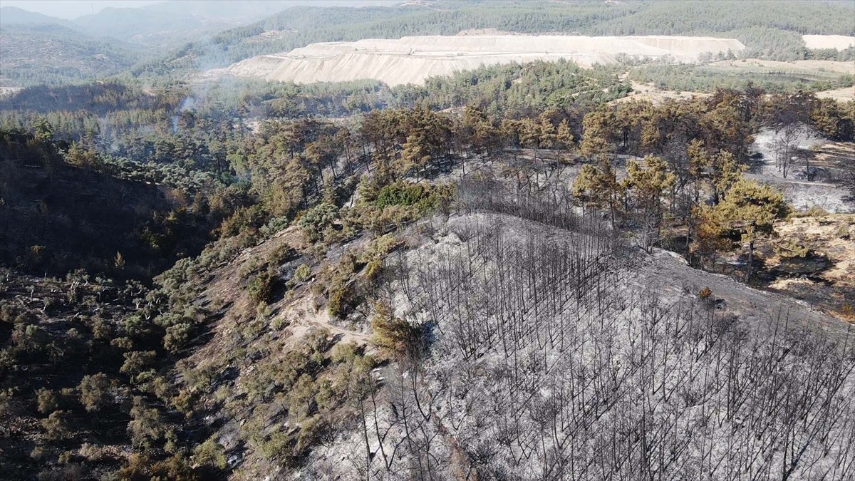 Muğla'nın Milas ilçesinde çıkan orman yangını kısmen kontrol altına alındı. Yangında yaklaşık 60...