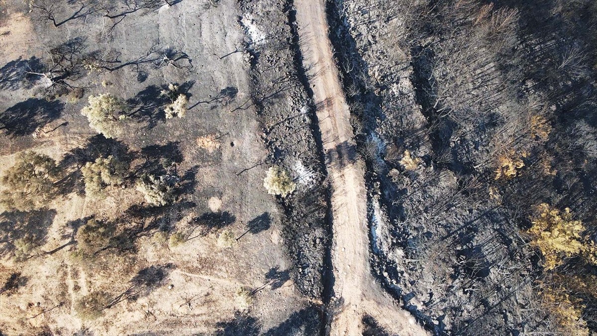 Muğla'nın Milas ilçesinde çıkan orman yangını kısmen kontrol altına alındı. Yangında yaklaşık 60...