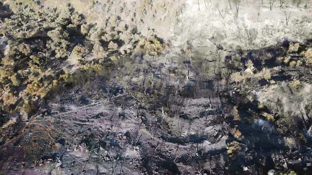 Muğla'nın Milas ilçesinde çıkan orman yangını kısmen kontrol altına alındı. Yangında yaklaşık 60...