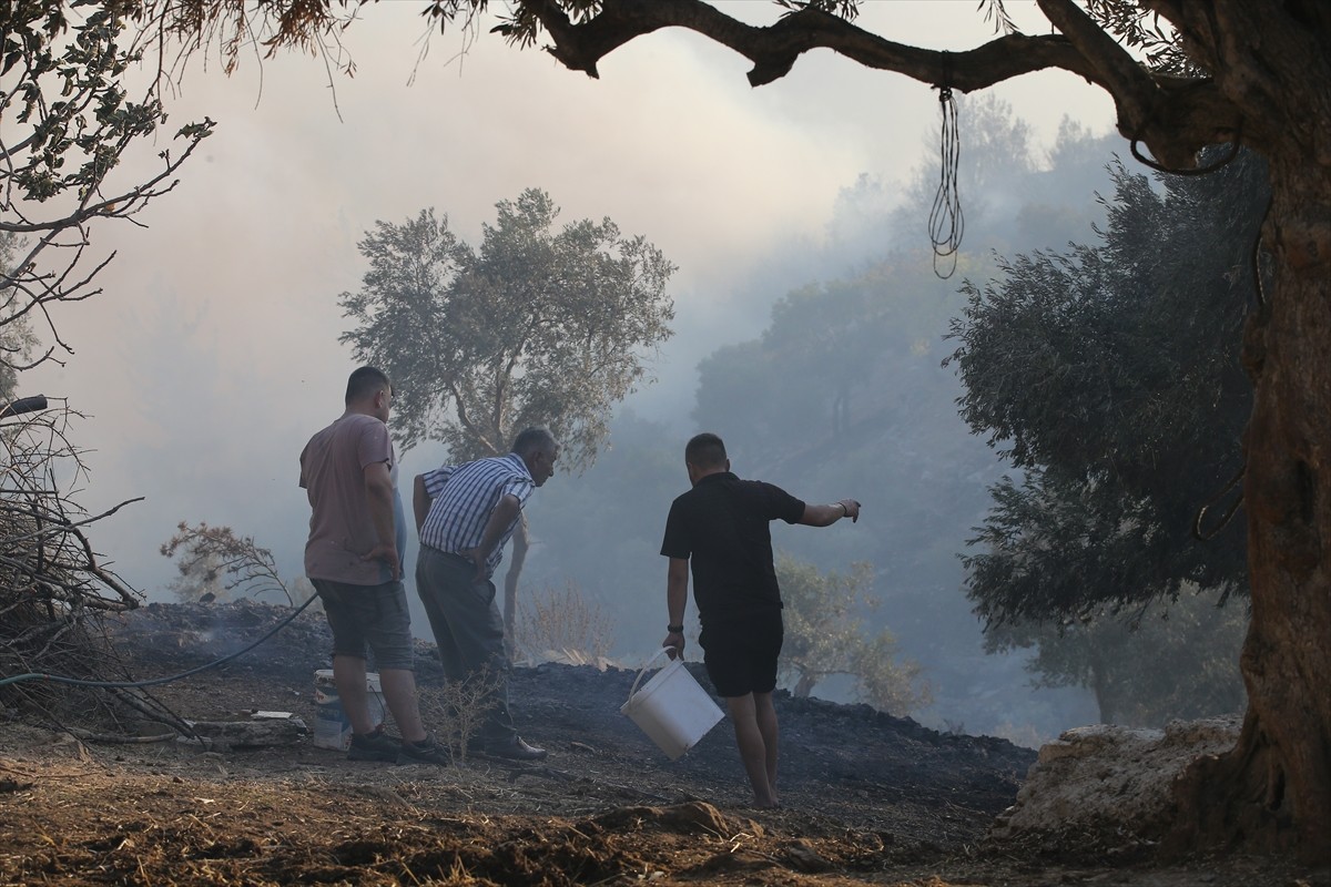 Muğla'nın Milas ilçesinde çıkan orman yangınına havadan ve karadan müdahale ediliyor.  