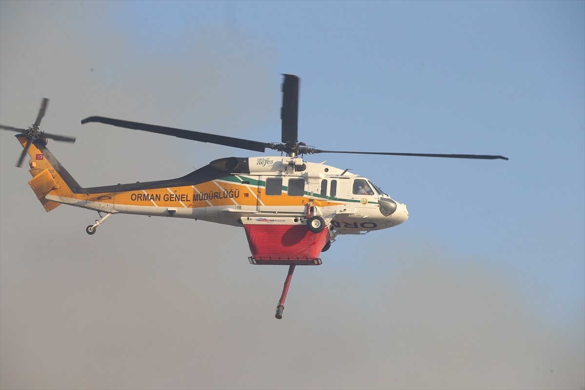 Muğla'nın Milas ilçesinde çıkan orman yangınına havadan ve karadan müdahale ediliyor.  