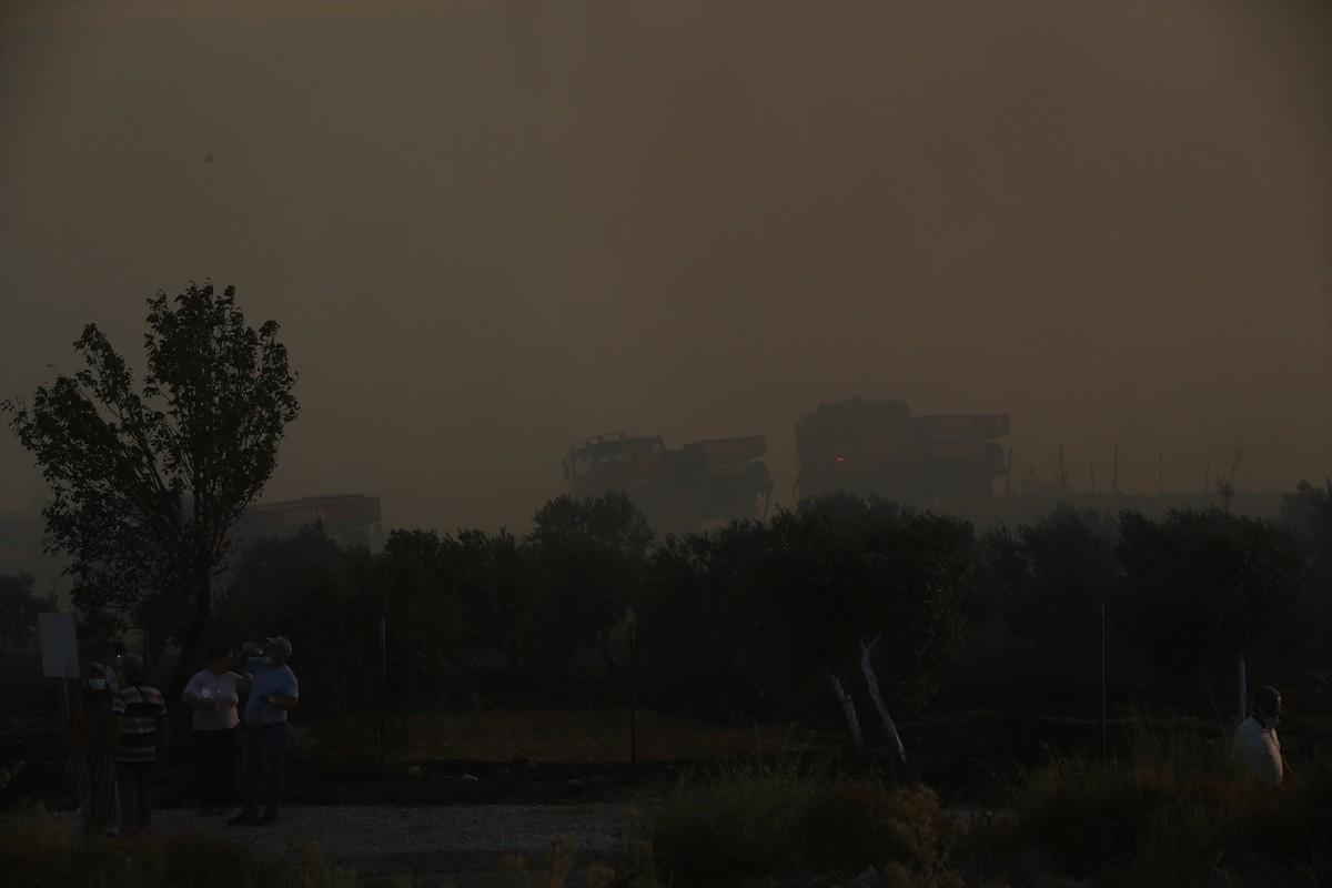 Muğla'nın Milas ilçesinde çıkan orman yangınına havadan ve karadan müdahale ediliyor.  