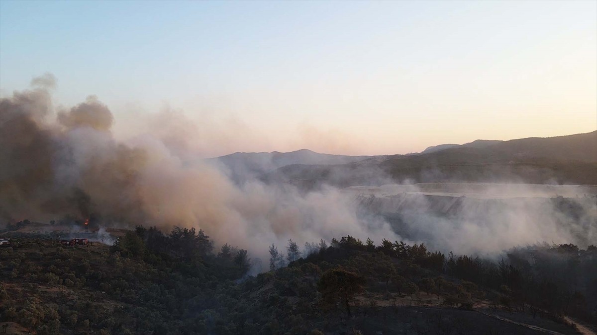 Muğla'nın Milas ilçesinde çıkan orman yangınına havadan ve karadan müdahale ediliyor.